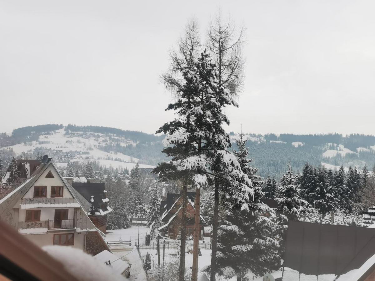 Apartamenty Villa Ski-Bowki زاكوباني المظهر الخارجي الصورة